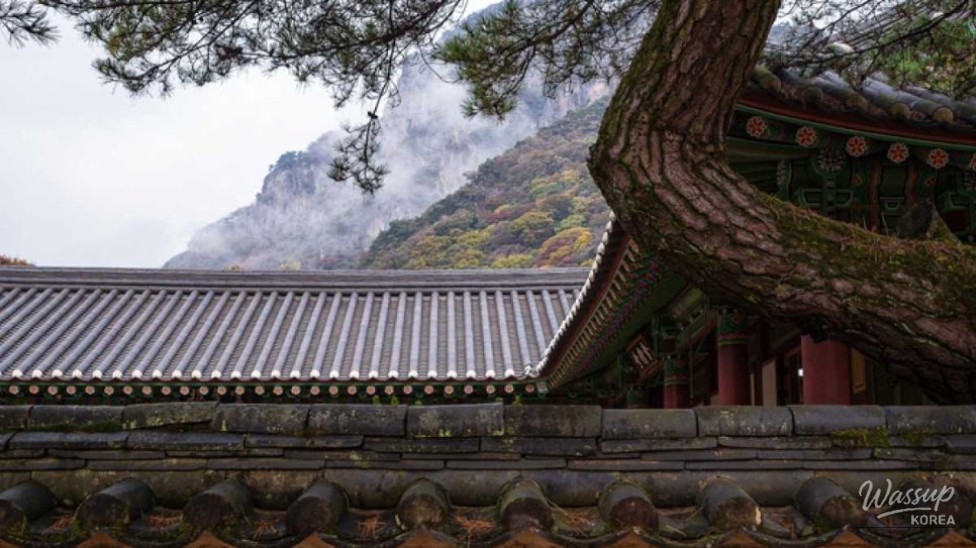 Discovering the Serenity of Baekyangsa Temple in September_04