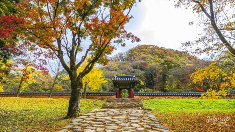 Discovering the Serenity of Baekyangsa Temple in September_01