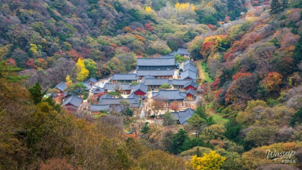 Discovering the Serenity of Baekyangsa Temple in September_03