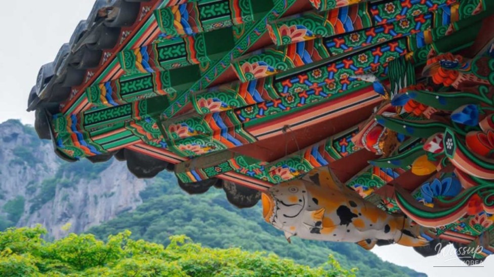 Discovering the Serenity of Baekyangsa Temple in September_02