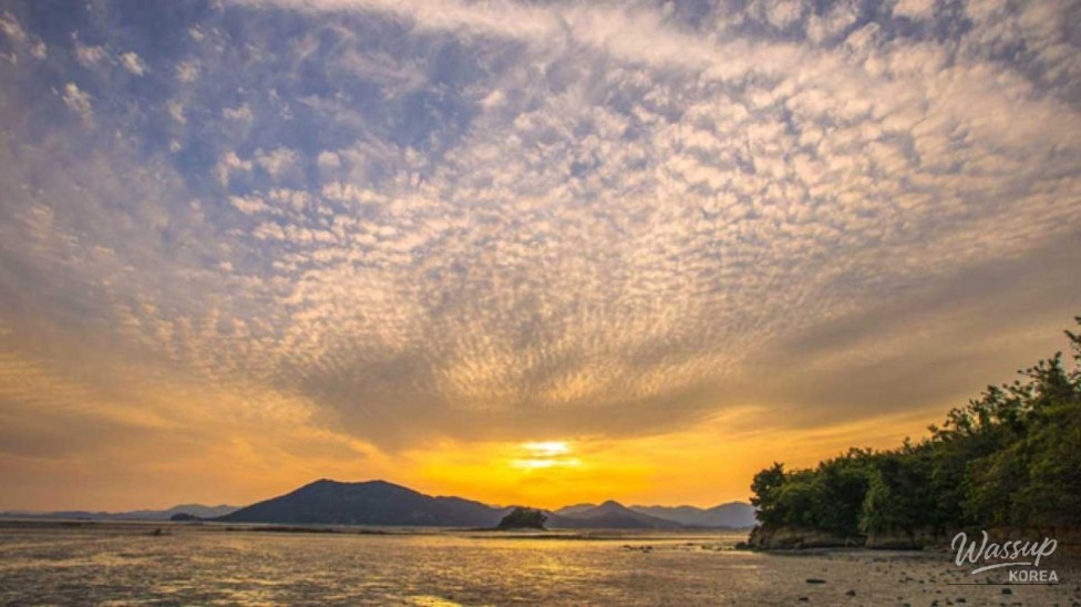 Discovering Waon Beach: A Perfect Autumn Getaway_01