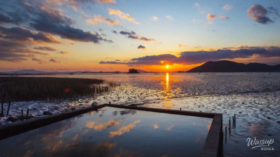 Discovering Waon Beach: A Perfect Autumn Getaway_03