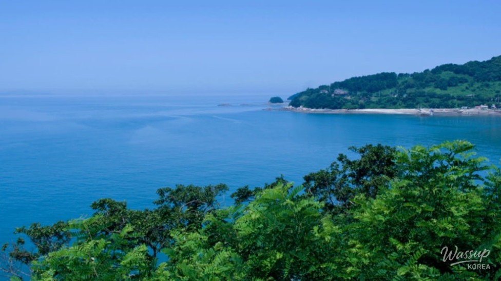 Exploring the Beautiful Mokseom Island in Incheon_02