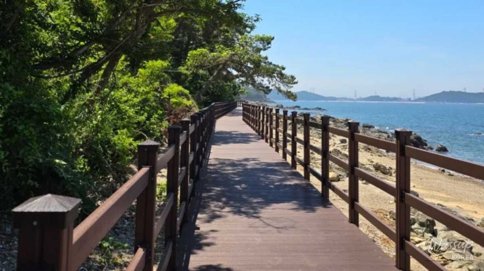 Exploring the Hidden Gem of Gukhwado Island in Hwaseong_02