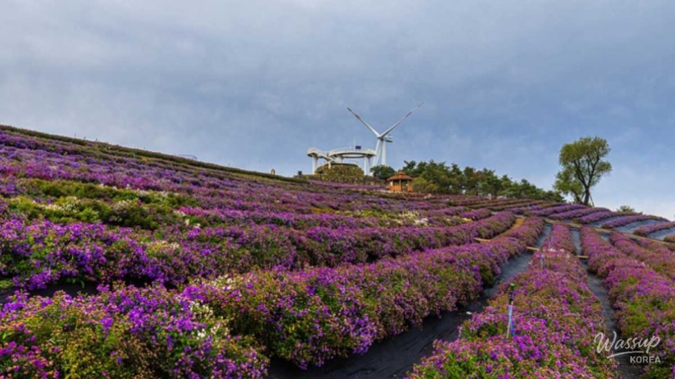 Discovering the Beauty of Gamaksan Mountain in Autumn_02