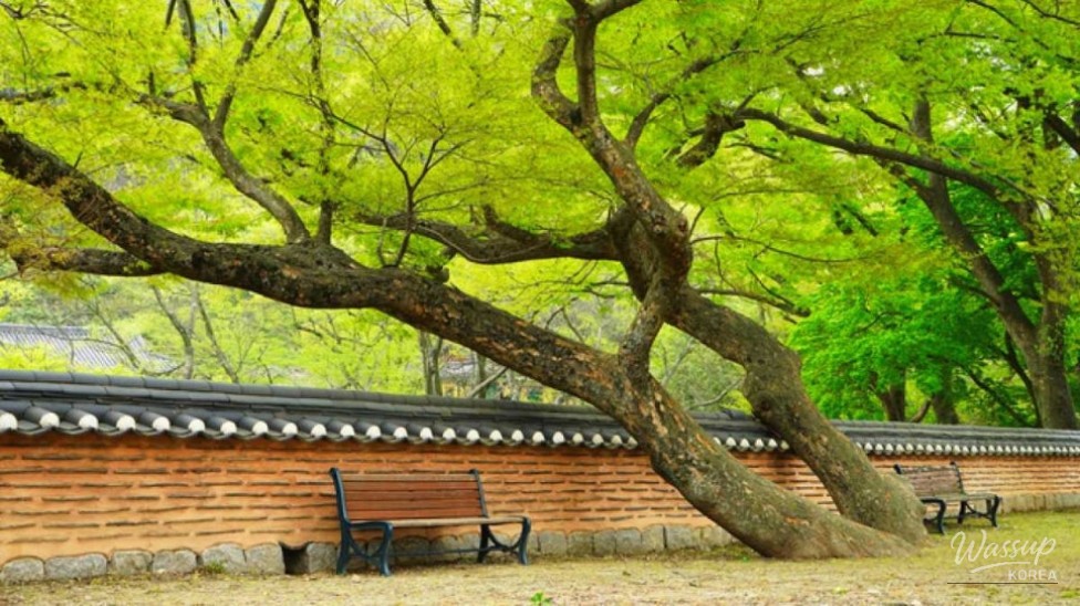 Exploring the Charms of Moaksan Mountain in Autumn_02