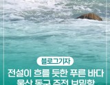 Exploring the Beauty of Jujeonbomit Port Picnic Area