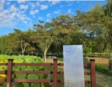 Autumn Poetry Exhibition at Changpo Garden