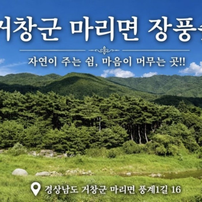 Discover the Hidden Gem of Jangpung Forest in Geochang