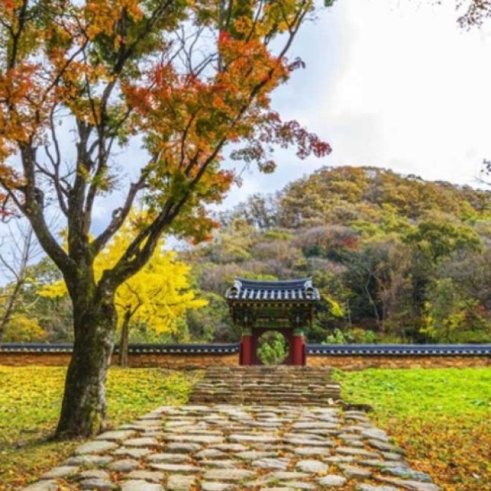 Discovering the Serenity of Baekyangsa Temple in September