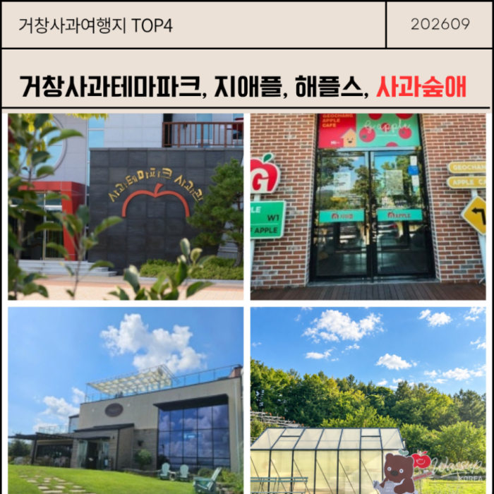 Exploring the Apple Delights of Geochang