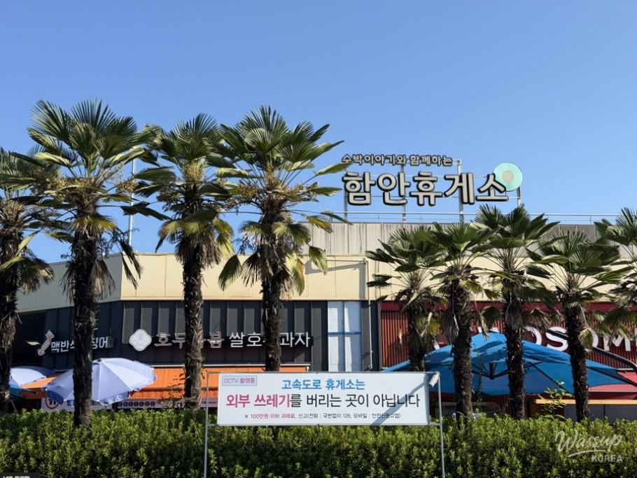 Discovering Hamann Rest Area on the Busan Direction_02