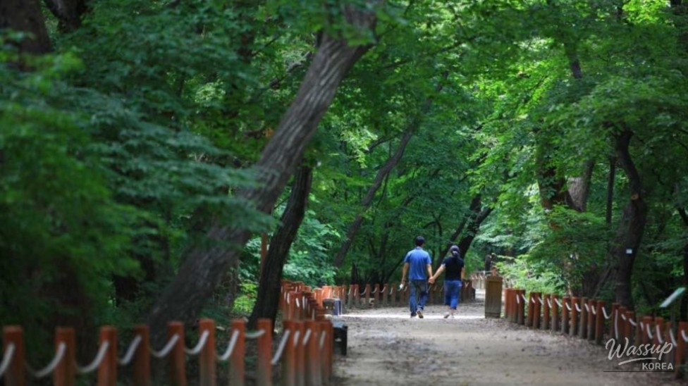 Exploring Sangrim Park: A Hidden Gem in September_04