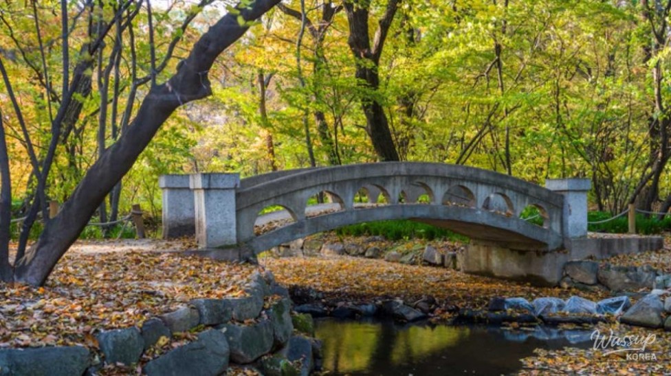 Exploring Sangrim Park: A Hidden Gem in September_02