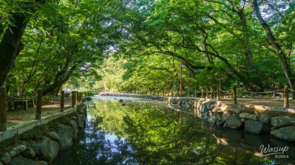 Exploring Sangrim Park: A Hidden Gem in September_01