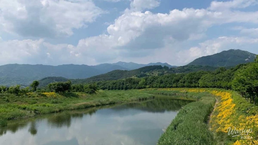 Exploring Sangrim Park: A Hidden Gem in September_05