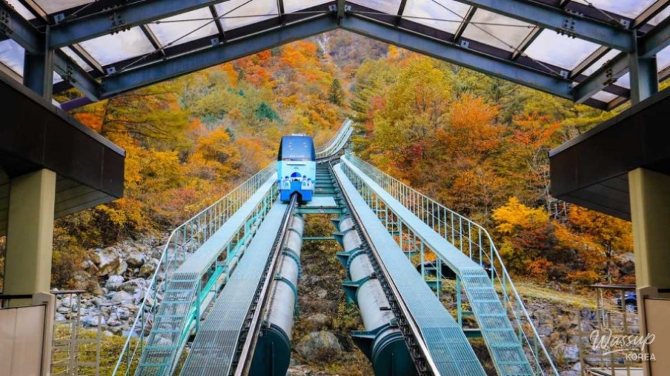 Exploring the Mystical Hwanseongul Cave in Samcheok, Korea_03