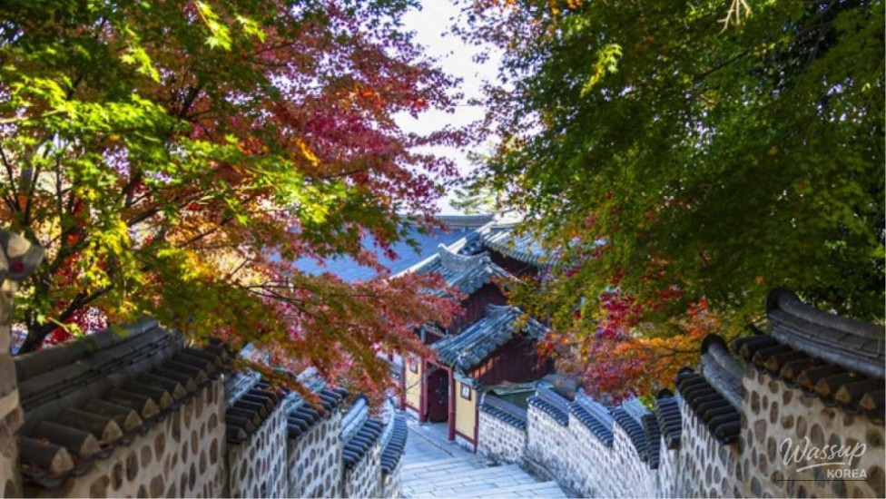 Exploring Beomeosa Temple: A Serene Autumn Retreat_01