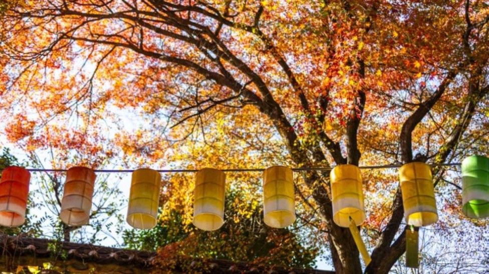 Exploring Beomeosa Temple: A Serene Autumn Retreat_05