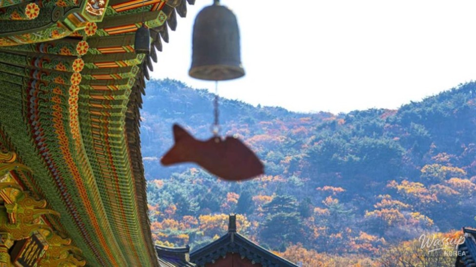 Exploring Beomeosa Temple: A Serene Autumn Retreat_04