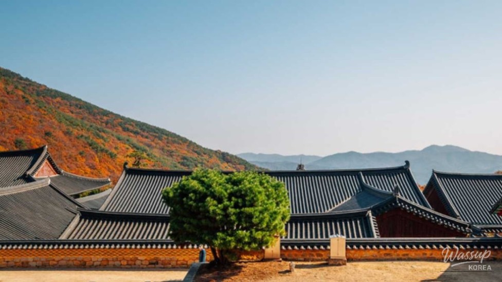 Exploring Beomeosa Temple: A Serene Autumn Retreat_02