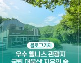 Exploring the Healing Forest of Daewoon Mountain