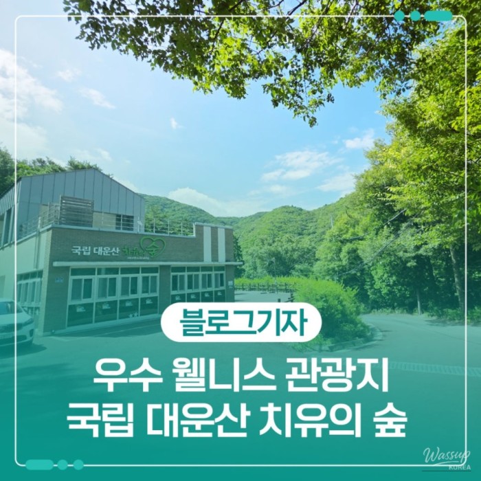 Exploring the Healing Forest of Daewoon Mountain