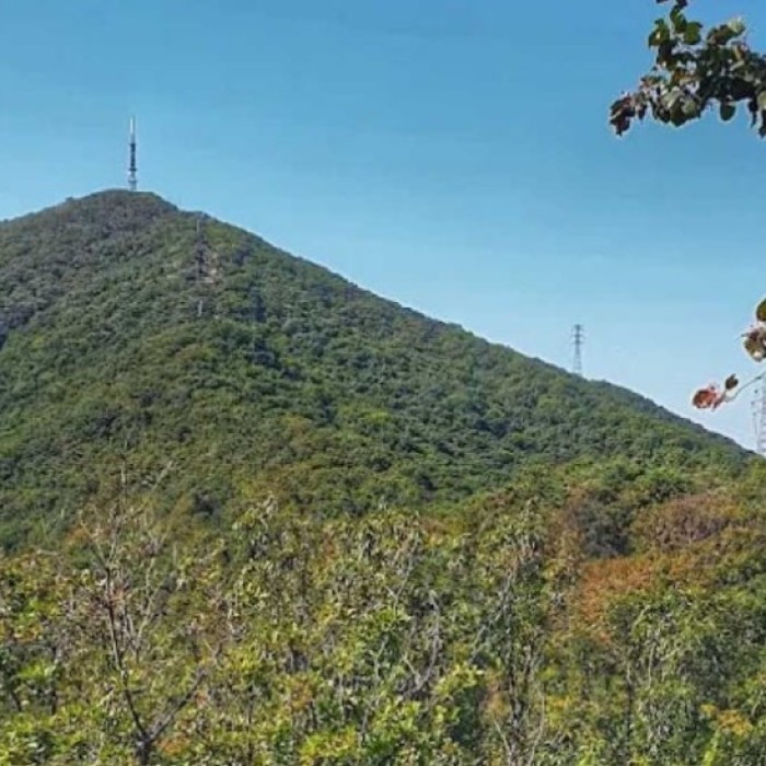 Exploring the Historical Beauty of Gyeonggi Mountain Fortress