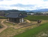 Exploring Cheongdo Fortress: A Healing Destination in Gyeongsangbuk-do