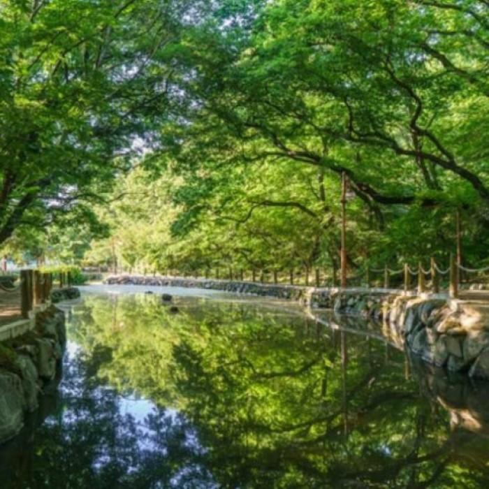 Exploring Sangrim Park: A Hidden Gem in September