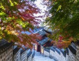 Exploring Beomeosa Temple: A Serene Autumn Retreat