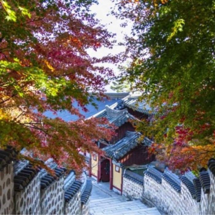 Exploring Beomeosa Temple: A Serene Autumn Retreat