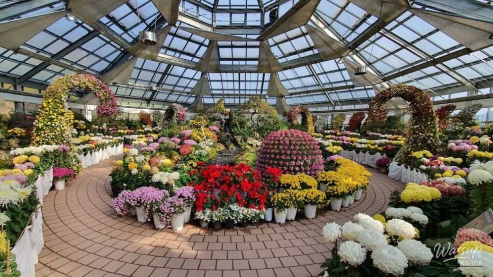 Exploring the Beauty of Morning Calm Arboretum in September_03