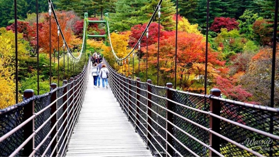 Exploring the Beauty of Morning Calm Arboretum in September_01