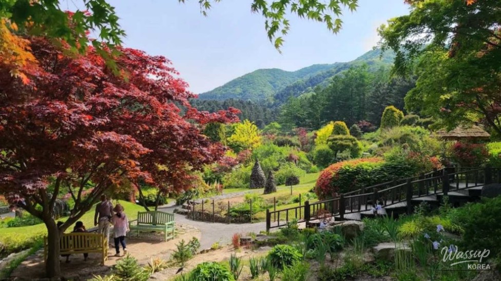 Exploring the Beauty of Morning Calm Arboretum in September_05