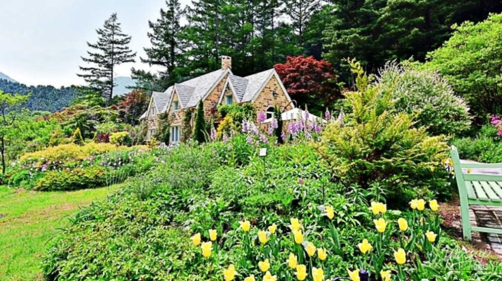 Exploring the Beauty of Morning Calm Arboretum in September_02