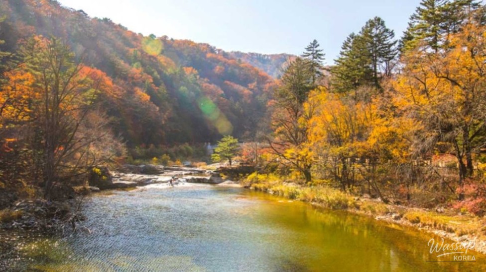Discovering the Healing Beauty of Odaesan National Park in September_05