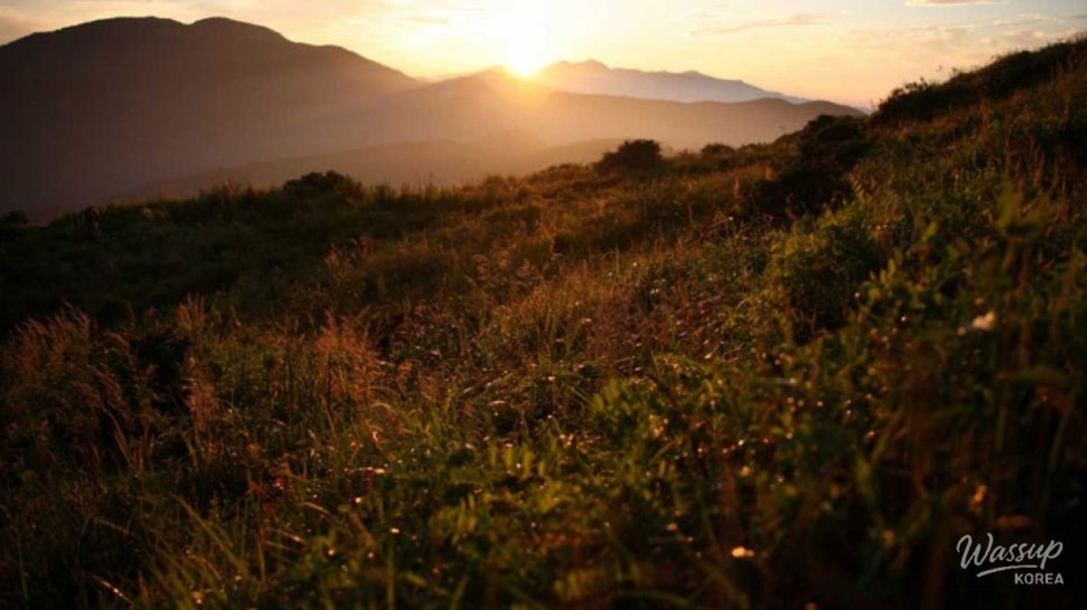 Discovering the Healing Beauty of Odaesan National Park in September_01