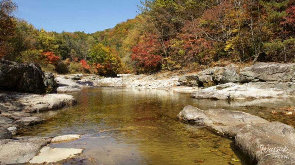 Discovering the Healing Beauty of Odaesan National Park in September_04