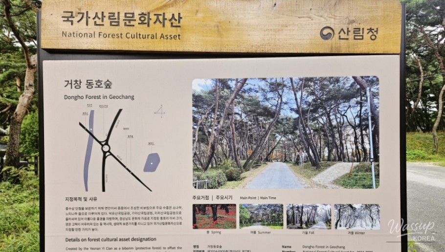 A Relaxing Walk Among Red Flowers at Dongho Forest_03
