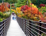 Exploring the Beauty of Morning Calm Arboretum in September