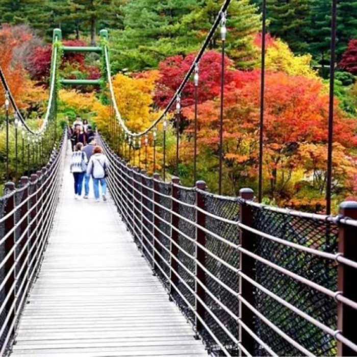 Exploring the Beauty of Morning Calm Arboretum in September