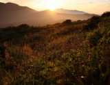 Discovering the Healing Beauty of Odaesan National Park in September