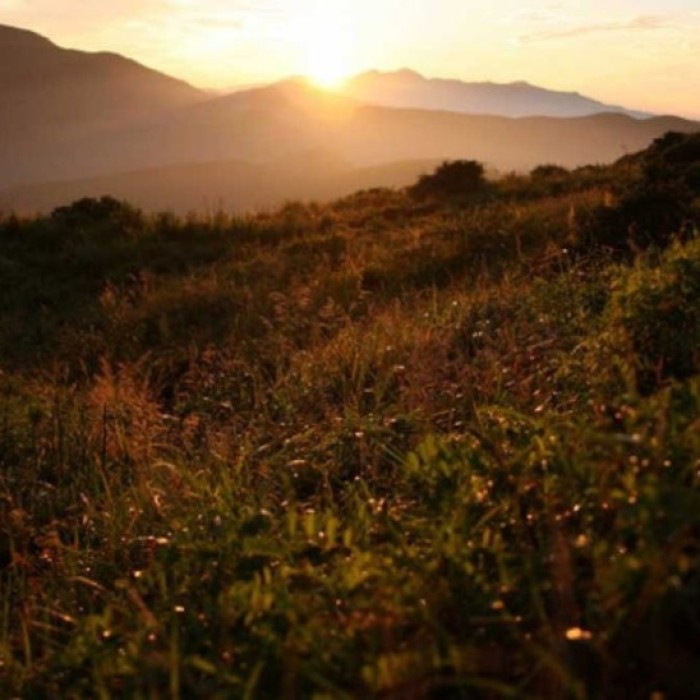 Discovering the Healing Beauty of Odaesan National Park in September