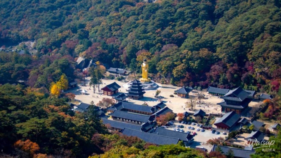 Exploring Beopjusa Temple: A Hidden Gem of Autumn Serenity_02