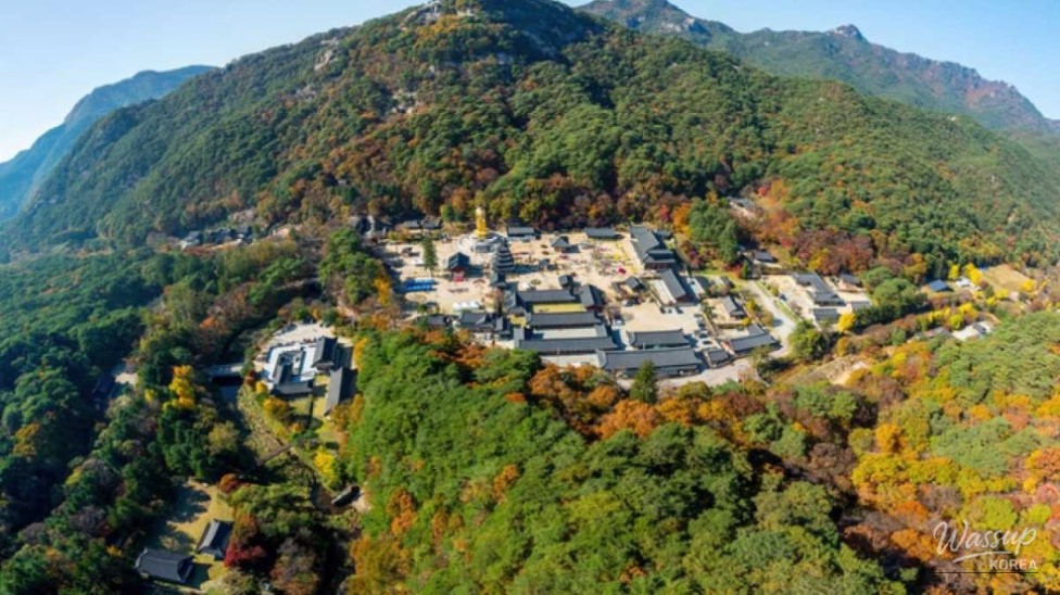 Exploring Beopjusa Temple: A Hidden Gem of Autumn Serenity_05