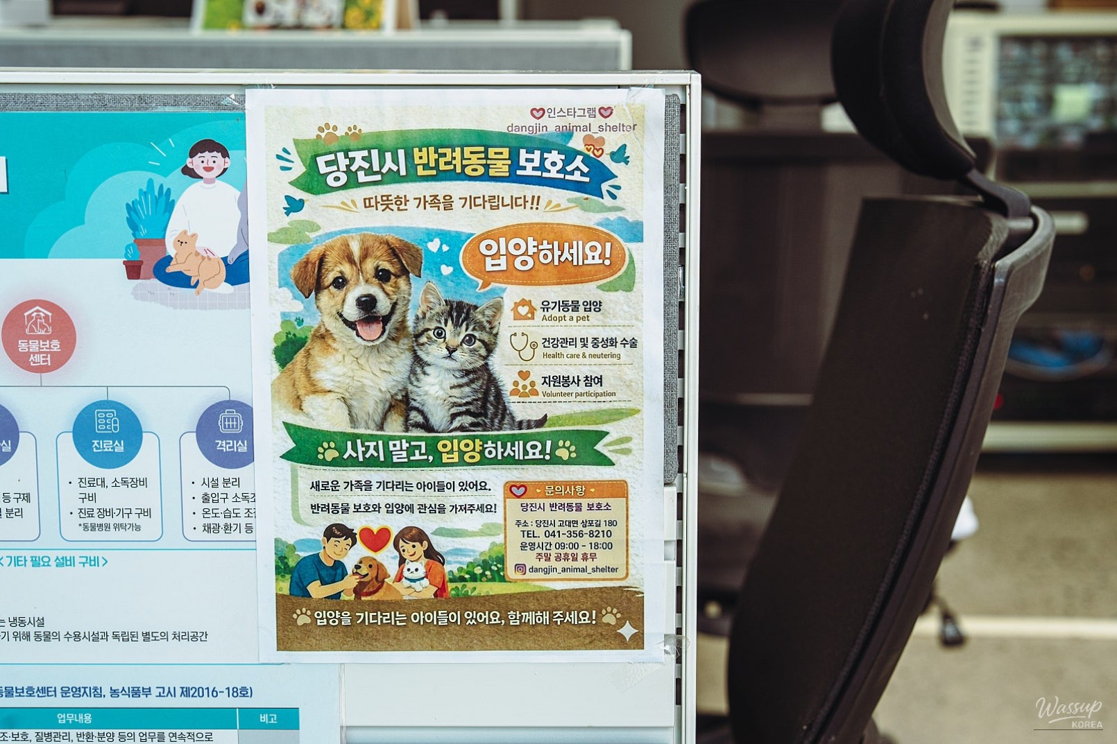 The Value of Adoption: A Visit to Dangjin Animal Shelter_03