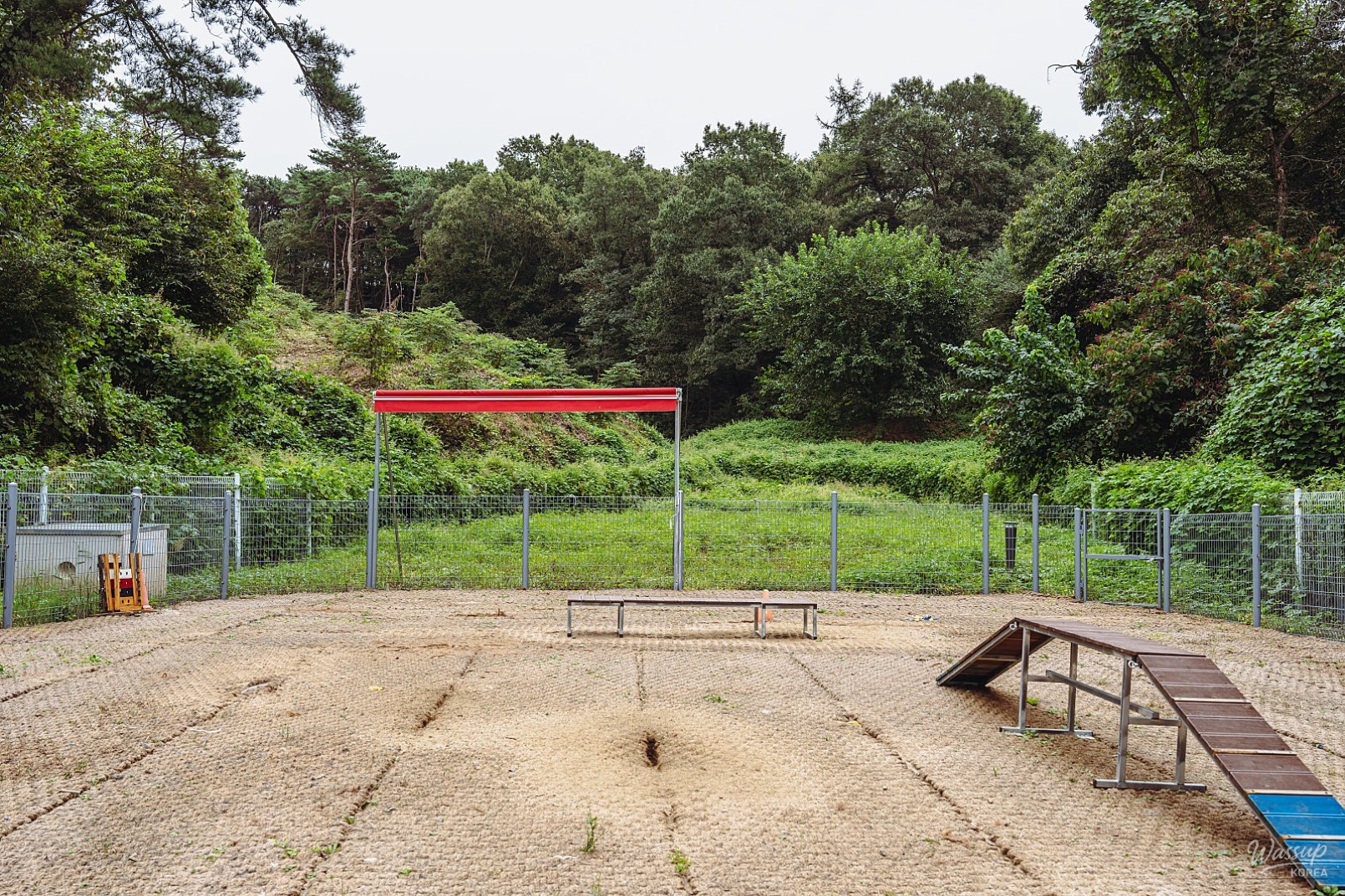 The Value of Adoption: A Visit to Dangjin Animal Shelter_12