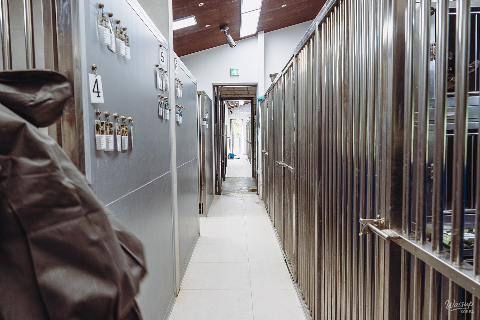The Value of Adoption: A Visit to Dangjin Animal Shelter_06
