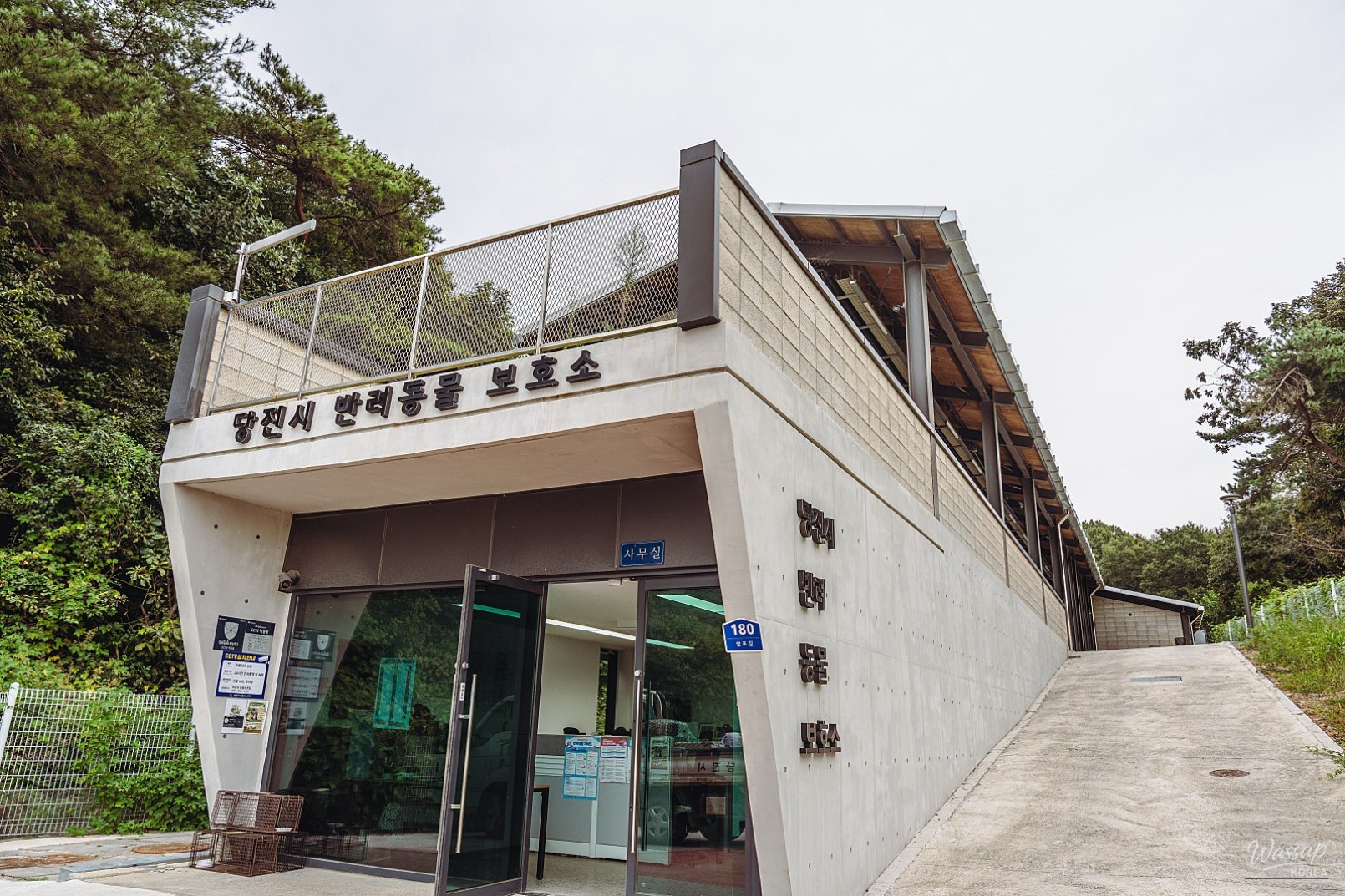The Value of Adoption: A Visit to Dangjin Animal Shelter_02